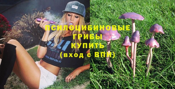 марки nbome Каменка