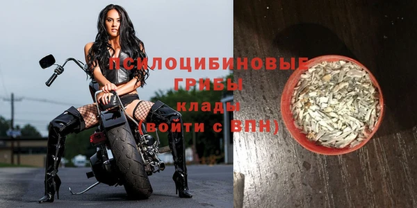 круглые Каменногорск